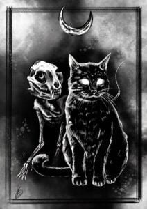 Illustrazione Luna