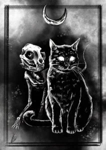 Illustrazione Luna